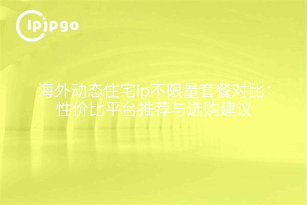 海外动态住宅ip不限量套餐对比:性价比平台推荐与选购建议