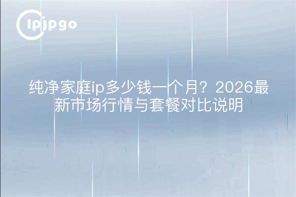 纯净家庭ip多少钱一个月？2026最新市场行情与套餐对比说明