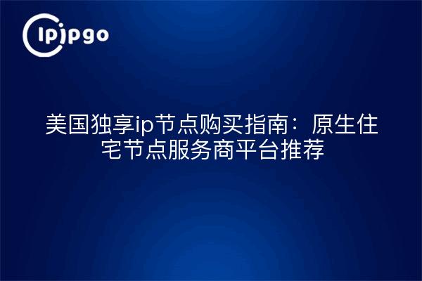 美国独享ip节点购买指南:原生住宅节点服务商平台推荐