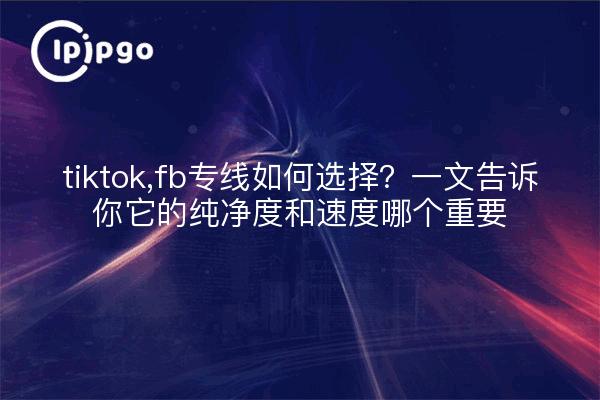 tiktok,fb专线如何选择？一文告诉你它的纯净度和速度哪个重要