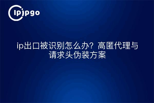 ip出口被识别怎么办？高匿代理与请求头伪装方案
