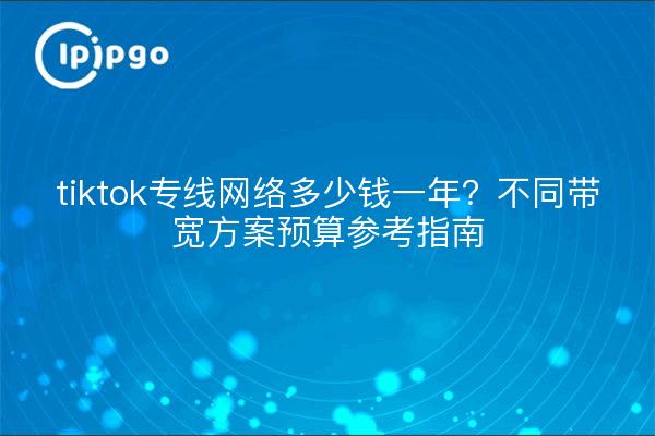 tiktok专线网络多少钱一年？不同带宽方案预算参考指南