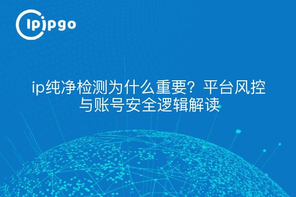 ip纯净检测为什么重要?平台风控与账号安全逻辑解读