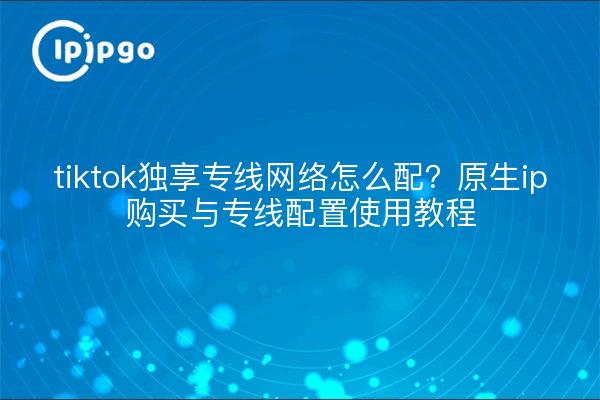 tiktok独享专线网络怎么配?原生ip购买与专线配置使用教程