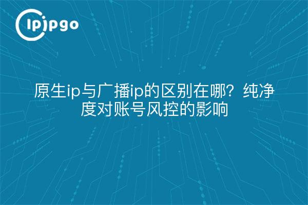 原生ip与广播ip的区别在哪?纯净度对账号风控的影响