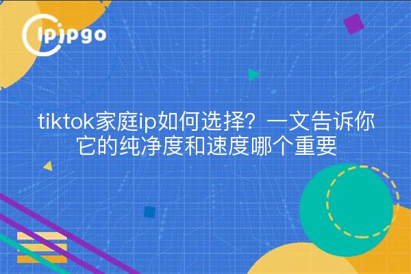 tiktok家庭ip如何选择?一文告诉你它的纯净度和速度哪个重要