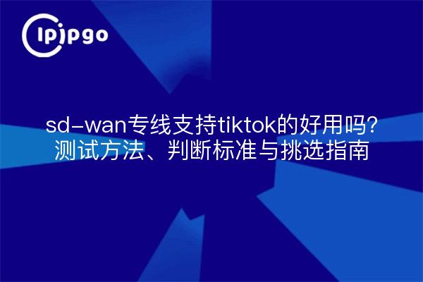 sd-wan专线支持tiktok的好用吗?测试方法、判断标准与挑选指南