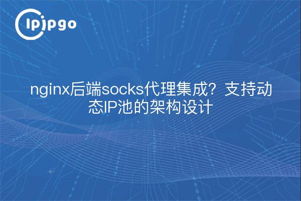 nginx后端socks代理集成？支持动态IP池的架构设计