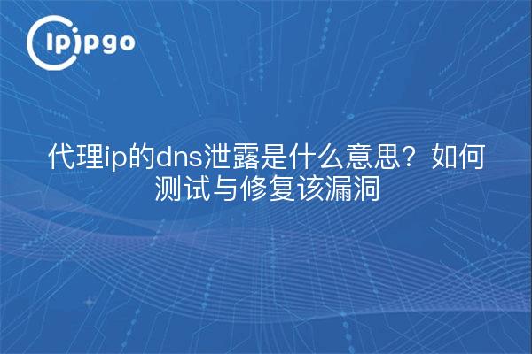 代理ip的dns泄露是什么意思？如何测试与修复该漏洞