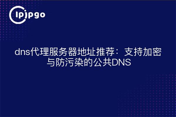 dns代理服务器地址推荐:支持加密与防污染的公共DNS