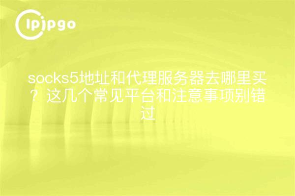 socks5地址和代理服务器去哪里买?这几个常见平台和注意事项别错过