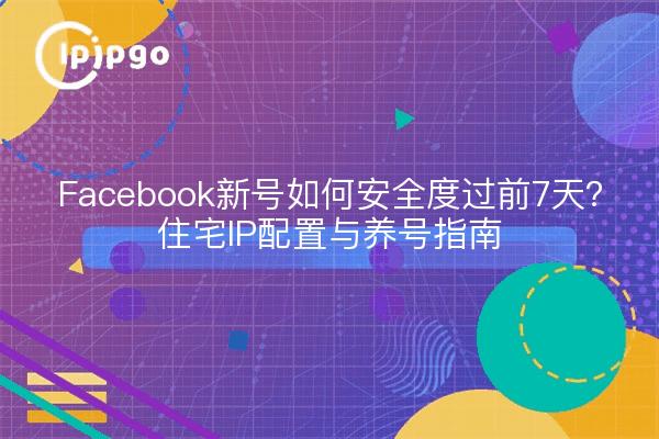Facebook新号如何安全度过前7天?住宅IP配置与养号指南