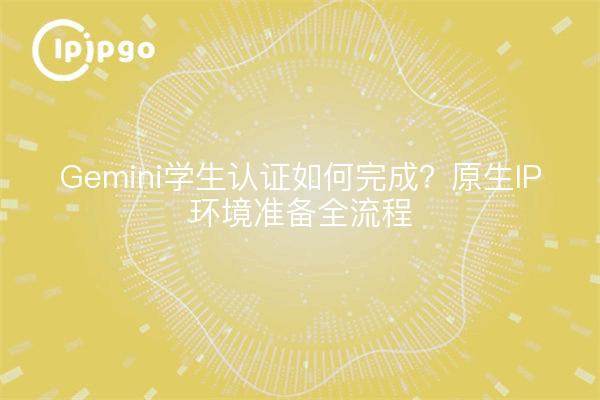 Gemini学生认证如何完成？原生IP环境准备全流程