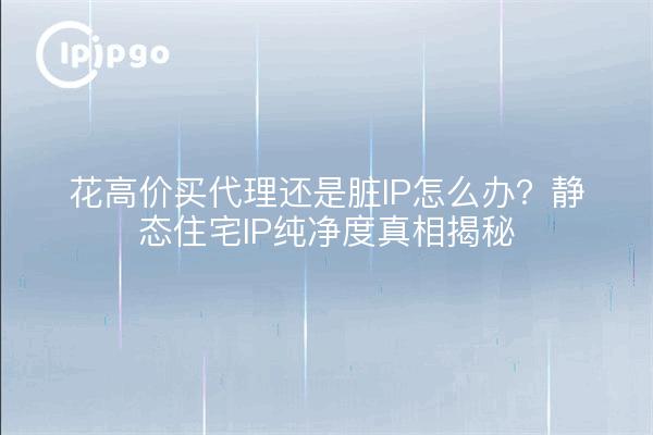 花高价买代理还是脏IP怎么办?静态住宅IP纯净度真相揭秘