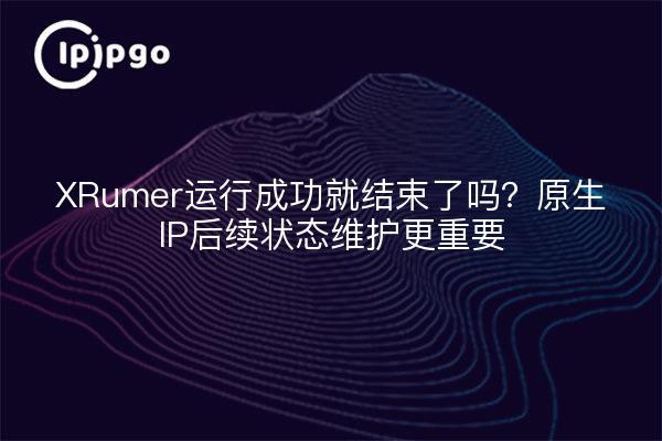 XRumer运行成功就结束了吗?原生IP后续状态维护更重要