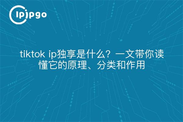 tiktok ip独享是什么?一文带你读懂它的原理、分类和作用