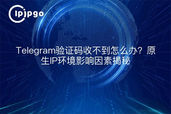 Telegram验证码收不到怎么办?原生IP环境影响因素揭秘