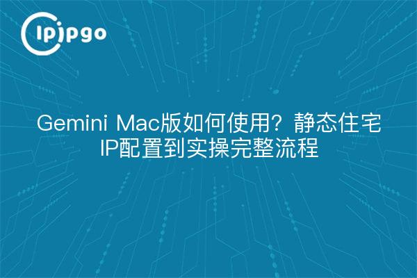 Gemini Mac版如何使用?静态住宅IP配置到实操完整流程