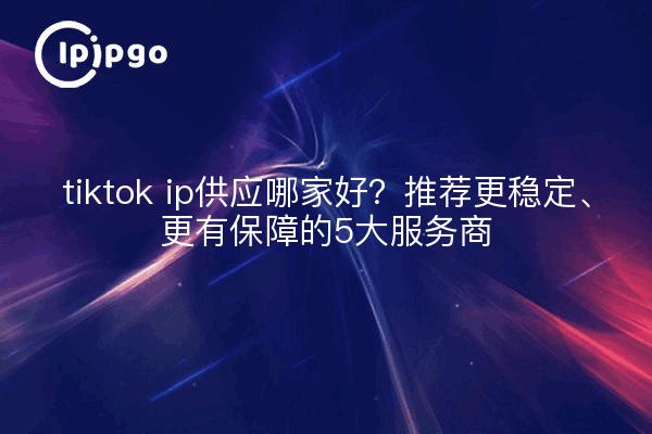 tiktok ip供应哪家好？推荐更稳定、更有保障的5大服务商