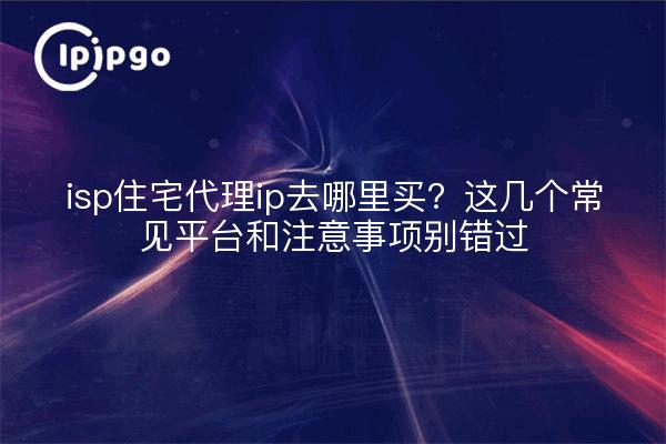 isp住宅代理ip去哪里买?这几个常见平台和注意事项别错过