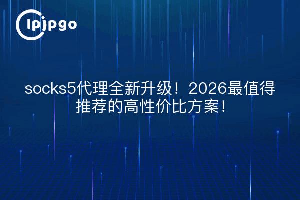 socks5代理全新升级！2026最值得推荐的高性价比方案！