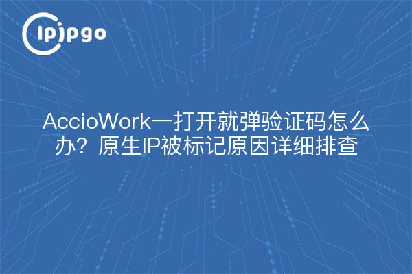 AccioWork一打开就弹验证码怎么办?原生IP被标记原因详细排查