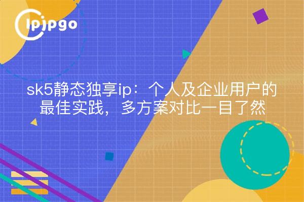 sk5静态独享ip:个人及企业用户的最佳实践,多方案对比一目了然
