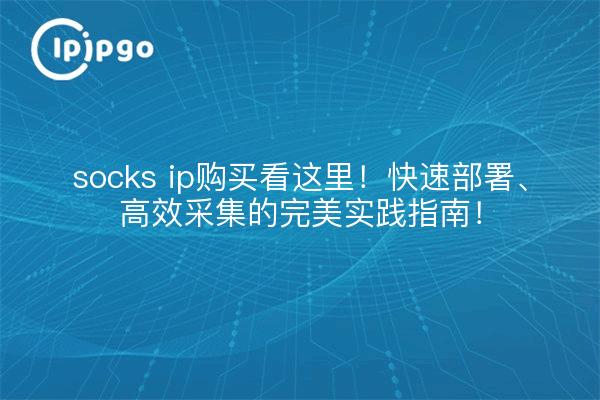 socks ip购买看这里!快速部署、高效采集的完美实践指南!