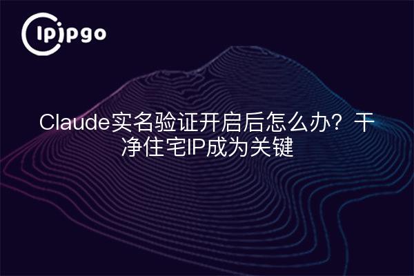 Claude实名验证开启后怎么办?干净住宅IP成为关键
