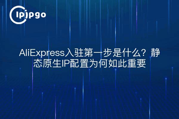 AliExpress入驻第一步是什么?静态原生IP配置为何如此重要
