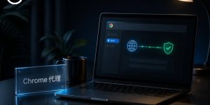 Chrome浏览器代理IP设置封面