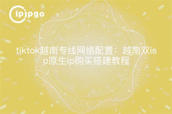 tiktok越南专线网络配置:越南双isp原生ip购买搭建教程