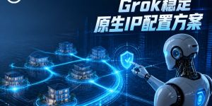Grok????IP????