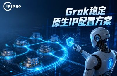 Grok????IP????