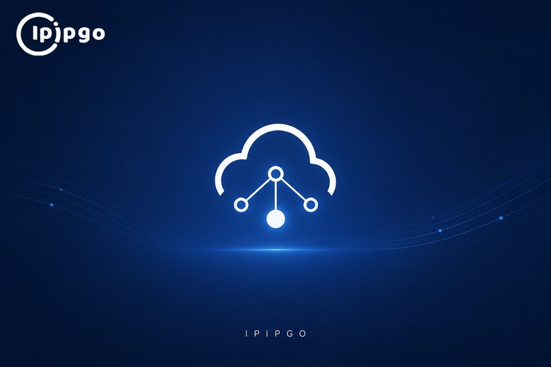 IPIPGO品牌图