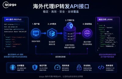 代理IP转发API接口概念