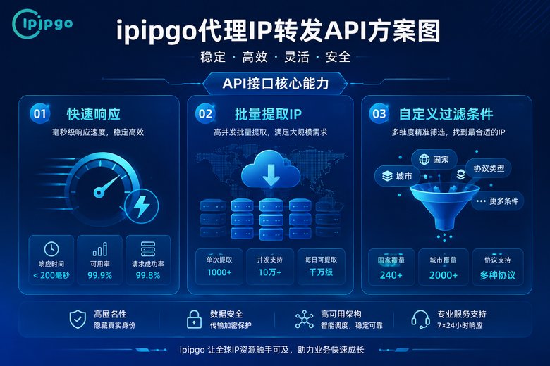 ipipgo API方案