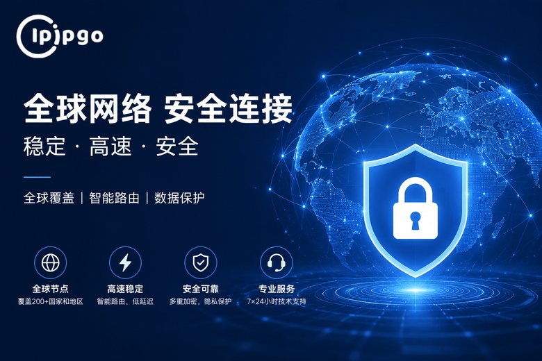 IPIPGO高匿代理网络安全品牌图