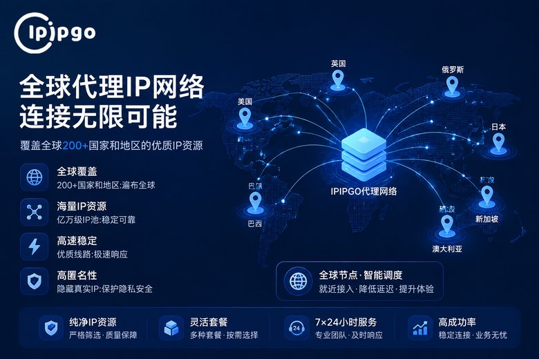IPIPGO代理IP服务架构示意