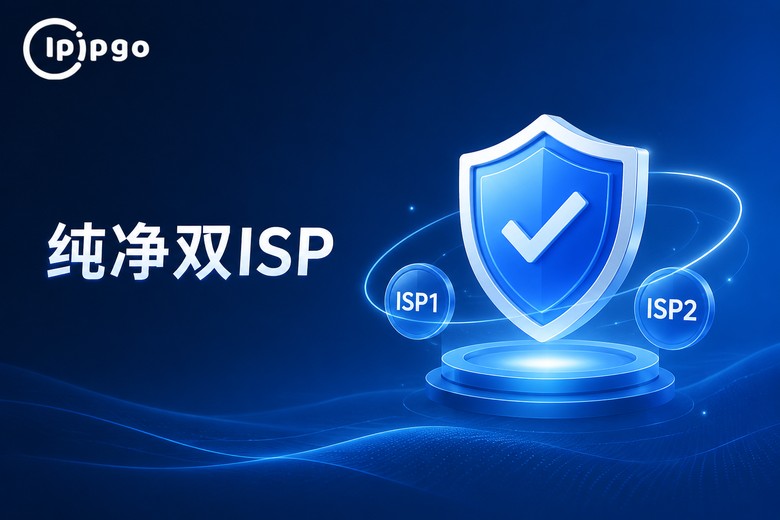 IPIPGO静态双ISP品牌图