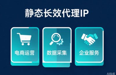 静态长效代理IP三大应用场景总览