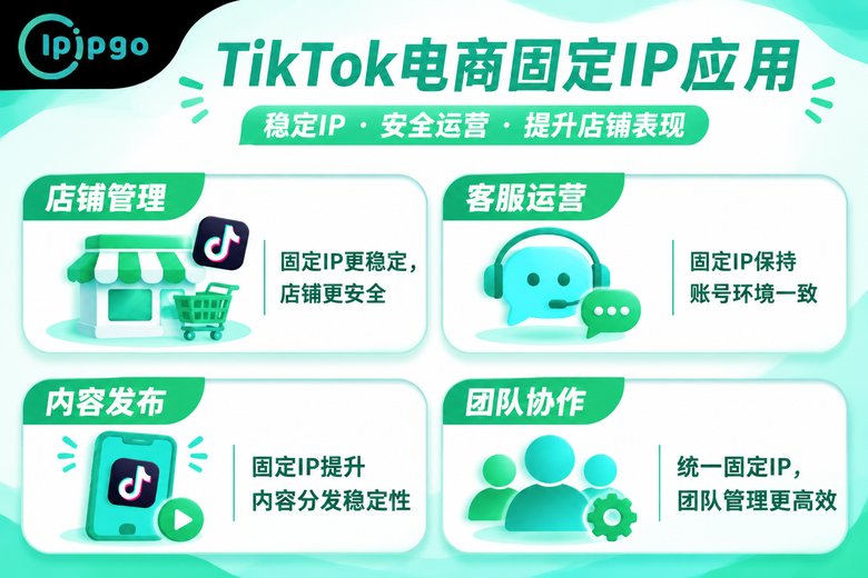 TikTok电商固定IP使用场景