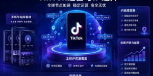 TikTok专用IP选择指南