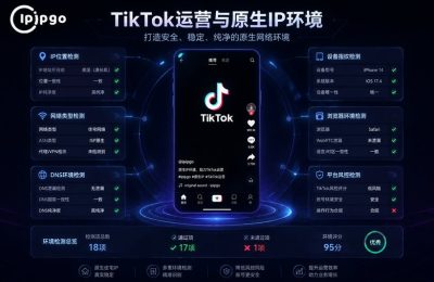TikTok运营原生IP环境诊断